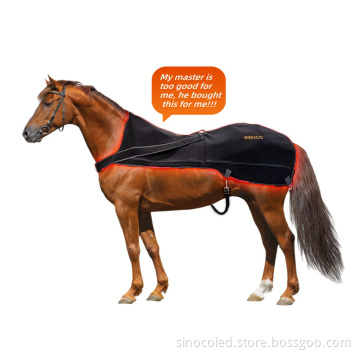 Red Light Therapy Instruments for Equine and Pet Care